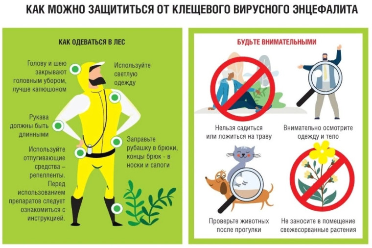 Профилактика клещевого энцефалита.